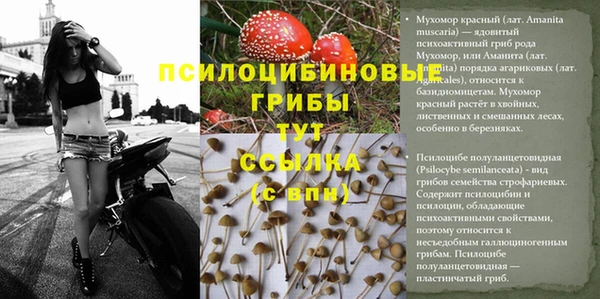 mix Алексин