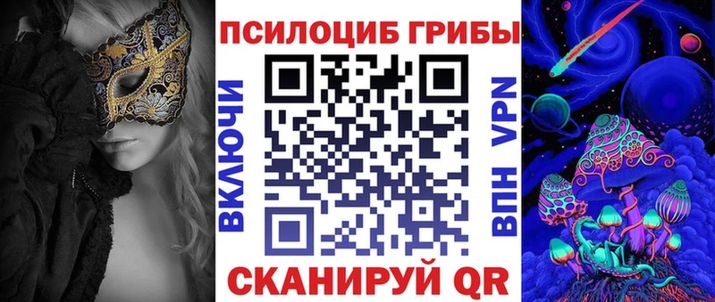Псилоцибиновые грибы Cubensis  Сочи 